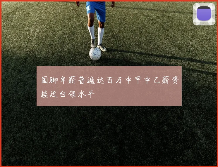 国脚年薪普遍达百万中甲中乙薪资接近白领水平