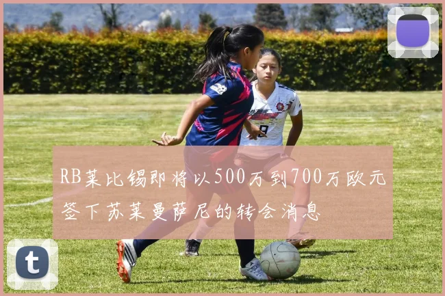 RB莱比锡即将以500万到700万欧元签下苏莱曼萨尼的转会消息
