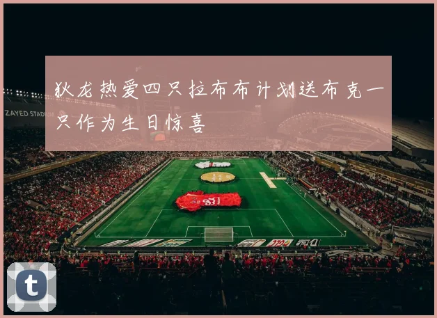 狄龙热爱四只拉布布计划送布克一只作为生日惊喜