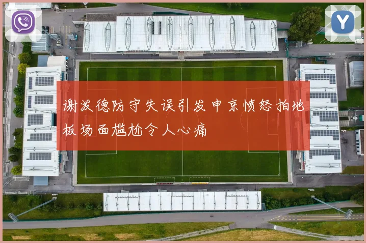 谢泼德防守失误引发申京愤怒拍地板场面尴尬令人心痛